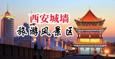 骚b插中国陕西-西安城墙旅游风景区